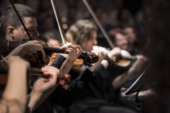 Professional Violins