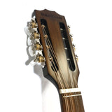 The Dannan Celtic Irish Bouzouki