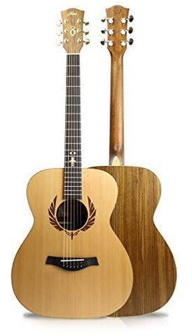 Fina Round Body Auditorium Acoustic Guitar with Solid Cedar Top & Satin Finish - 1to1 Music