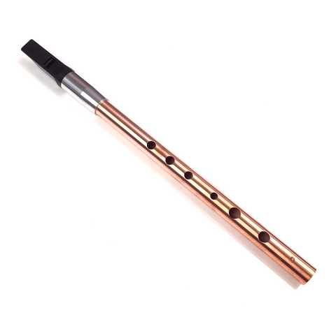 Soprano d whistle deals