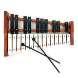 25 Key Wooden Xylophone / Glockenspiel by ProKussion with Bag Case